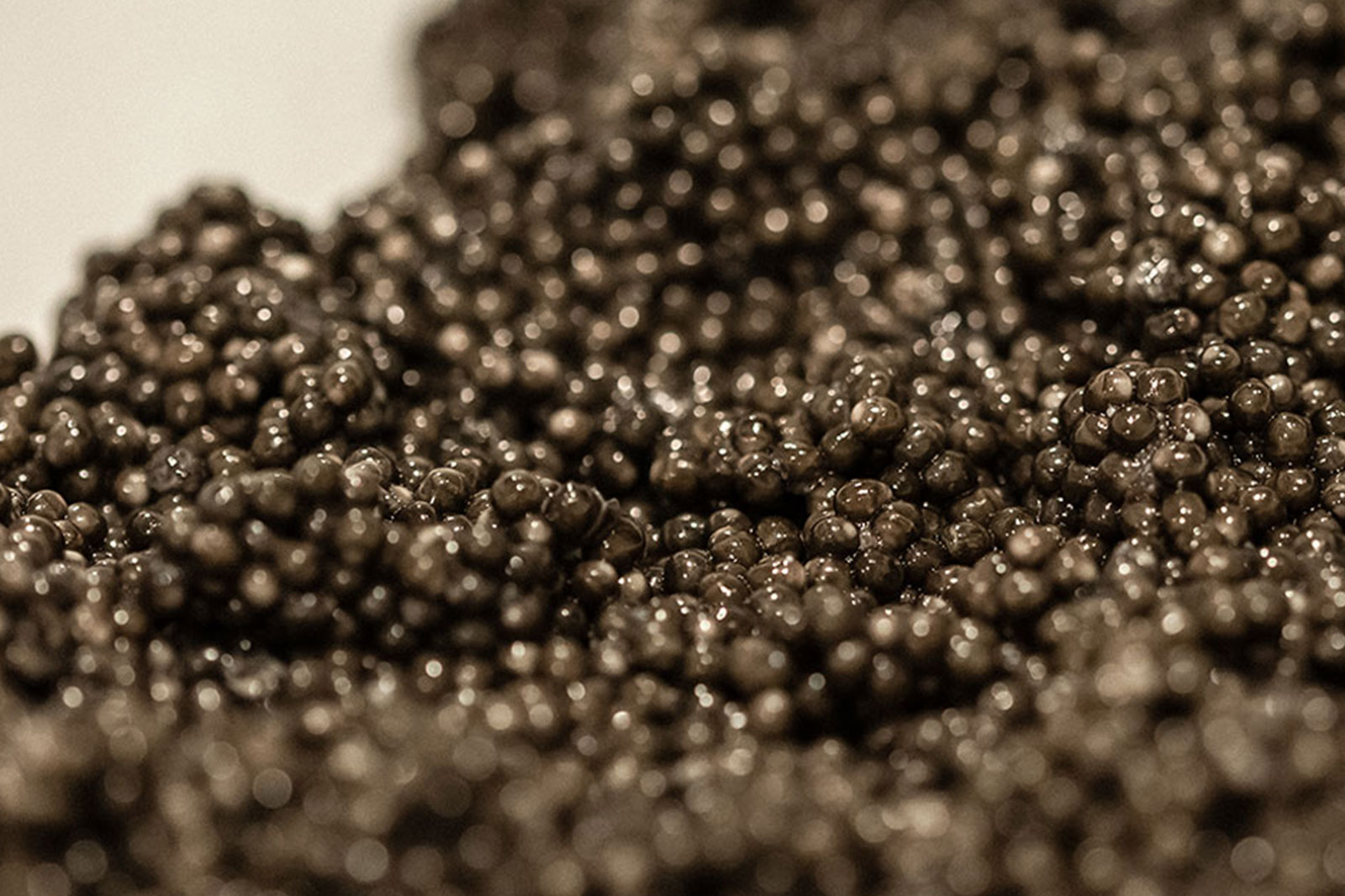 caviar_1_10